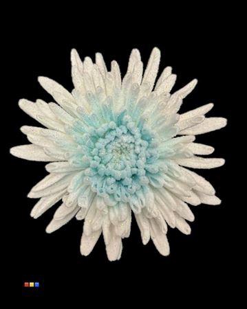 <h4>Chr G Marshmallow Light Blue</h4>