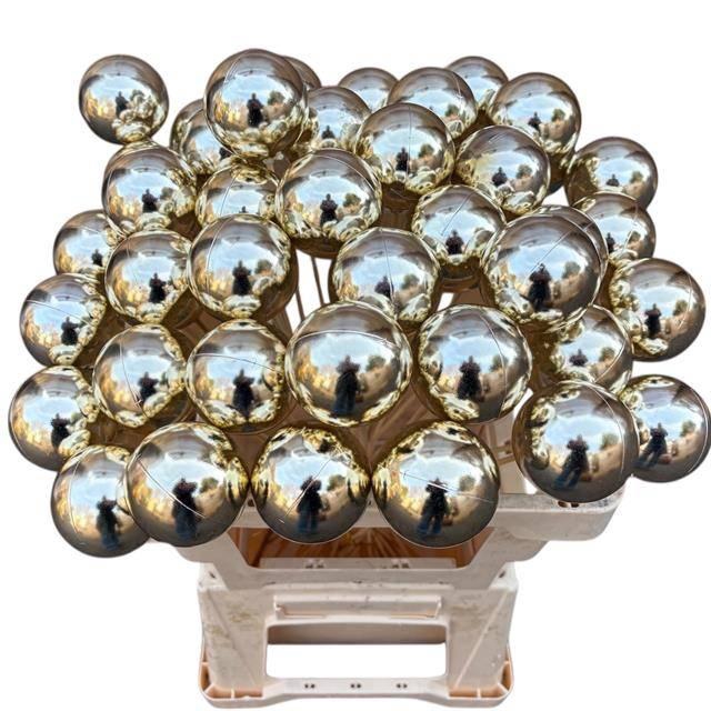 <h4>KUGEL AUF STAB H% PLATIN</h4>