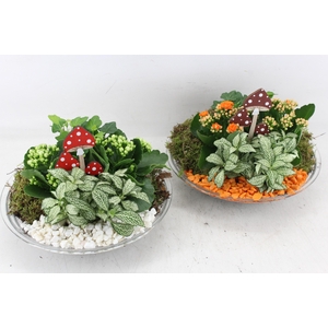 arr2 PL - Glas schaal 27cm - oranje/wit