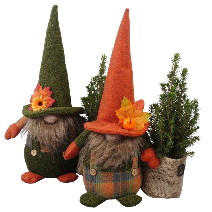 <h4>Arr.   Tuinplanten L%</h4>