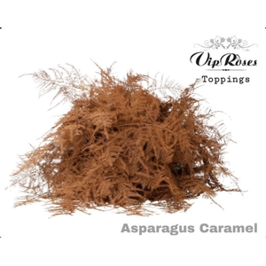 ASP OV EXTRA VEREN CARAMEL