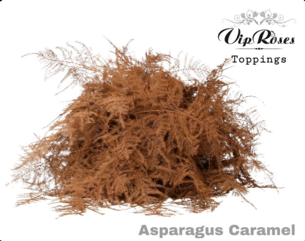 <h4>Asp Ov Getopt Lang Caramel</h4>
