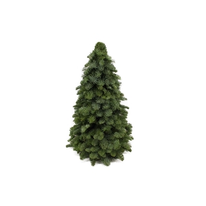 Kerstboom Nobilis 60cm