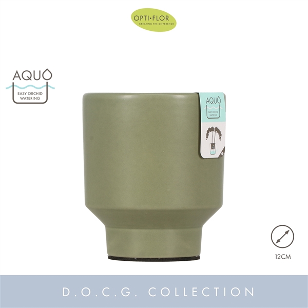 <h4>Emilia Green 12 cm Aquo</h4>