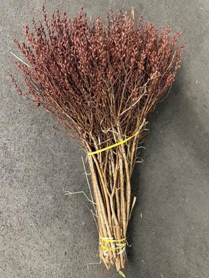 <h4>GAGEL 45 CM</h4>