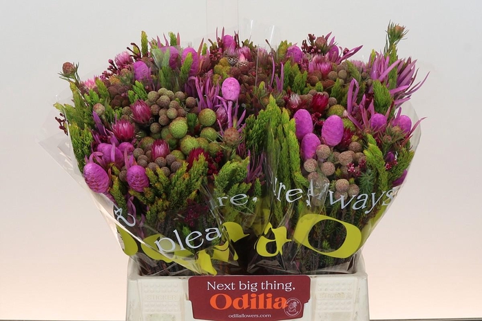 <h4>BQ Wild Flower</h4>