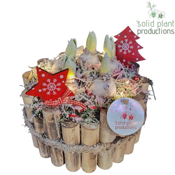 <h4>Arrangementen Hyacinthus H%</h4>