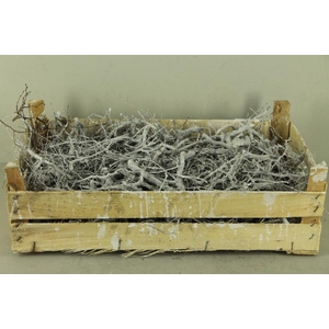 Bonsai Branch Whitewash Box