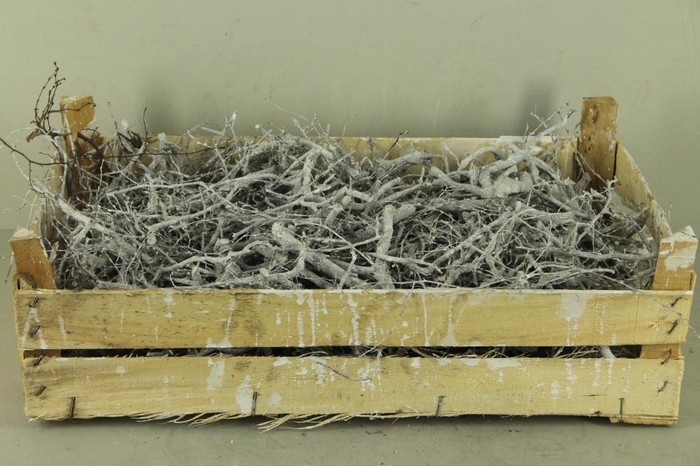 <h4>Bonsai Branch Whitewash Box</h4>