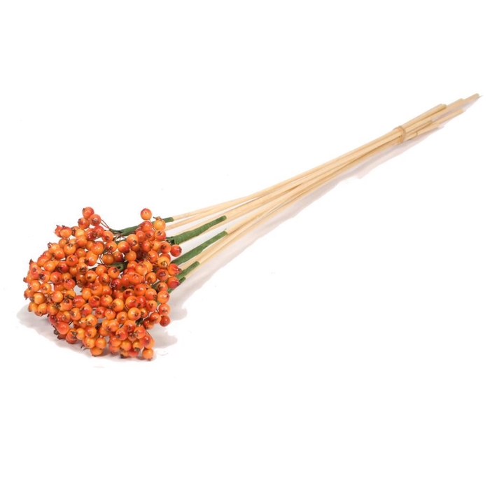 <h4>Berry cluster o/s 10pc SB orange spring</h4>