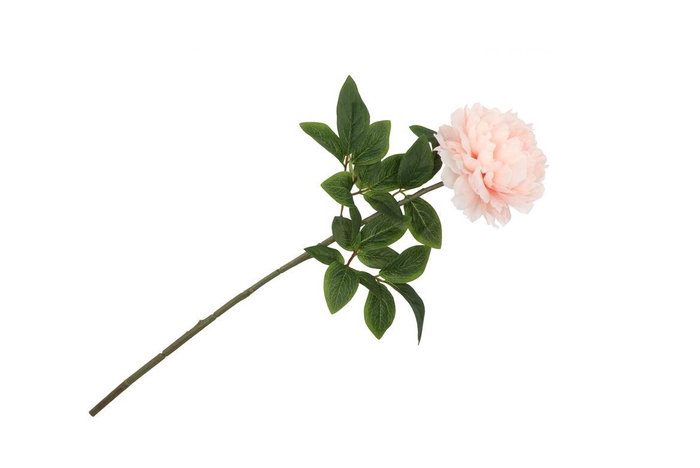 <h4>Silk Peony Soft Pink 68cm Nm</h4>
