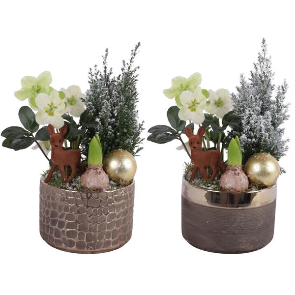 <h4>Christmas Arr. Outdoor Ceramic Pure Luxury N568 Ø17cm 3PP</h4>