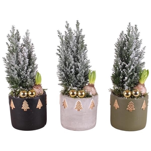Christmas Arr. Outdoor Ceramic Pot Round Christmastrees Ø14cm 2P