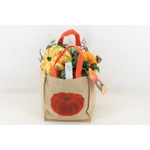 arr4 Sierfruit MB - Jute tas herfst XL