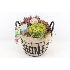 arr4 Semp MB - Jute/gaas home mand 344/3