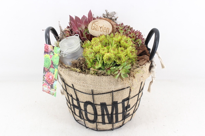 <h4>arr4 Semp MB - Jute/gaas home mand 344/3</h4>