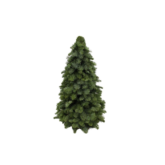 <h4>Kerstboom Nobilis 60cm</h4>