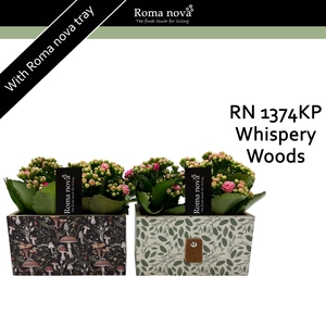 Kalan Rom 1374KP Whispery Woods