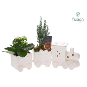 Keramiek LED Trein Medium met Arrangement