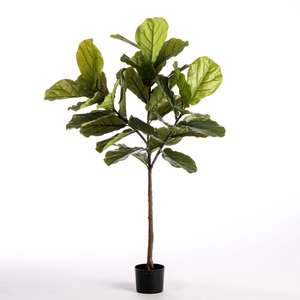 AF Ficus Lyr pot H137cm Green