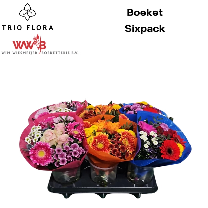 <h4>Boeket Sixpack 3 Color mix in tray</h4>
