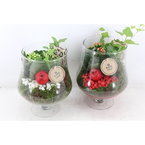 arr2 PL - Glas op voet - rood/wit