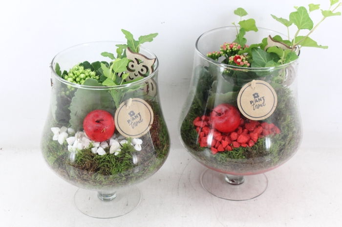 <h4>arr2 PL - Glas op voet - rood/wit</h4>