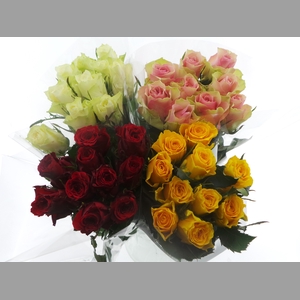 BQ Mono Rozen x10 mix 40cm