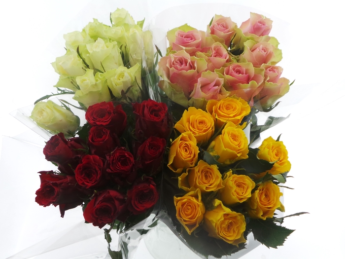 <h4>Bouquet Mono Rozen x10 mix 40cm</h4>