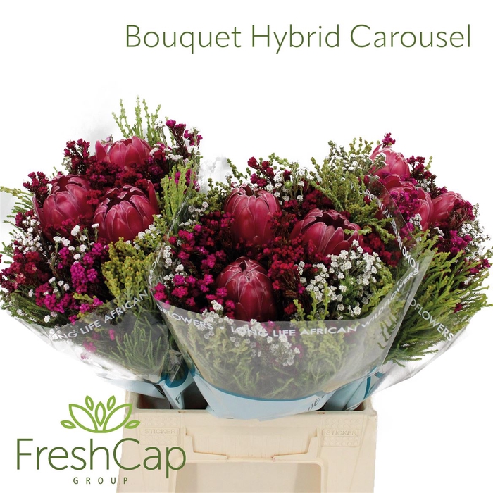 <h4>Bouquet Hybrid Carousel Brenda</h4>