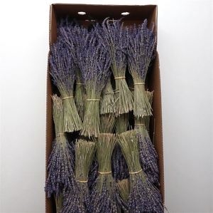 Dried Lavendel 100gram
