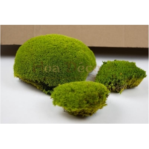 Mousse boule stabilisée 2,5kg