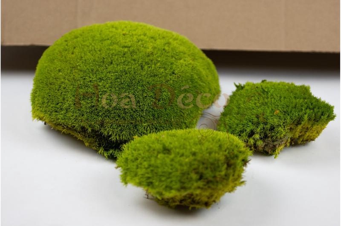 <h4>Mousse boule stabilisée 2,5kg</h4>