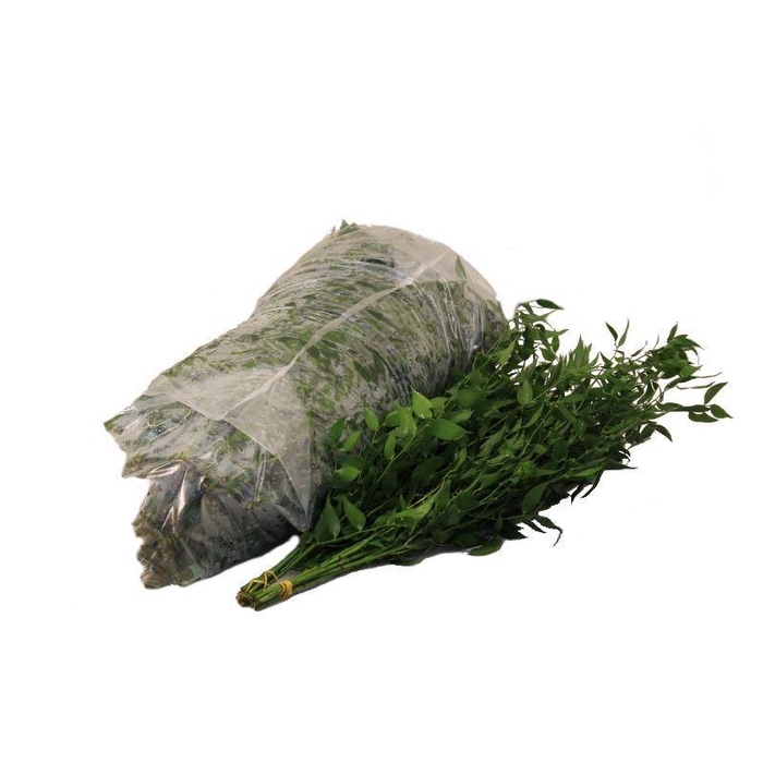 <h4>ŽAL SOFT RUSCUS</h4>