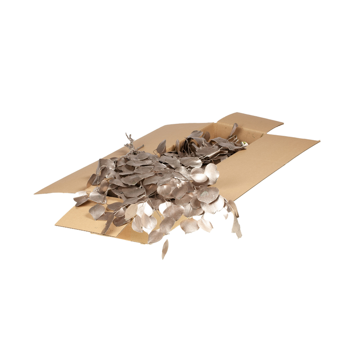 <h4>Eucalyp Pop Pres Sb W.gld</h4>