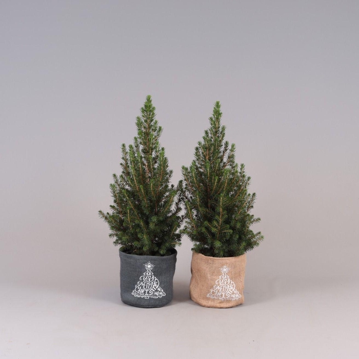 <h4>Picea Gl Conica Jutte Bag</h4>