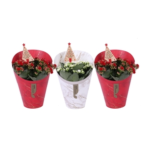 Kalan Gev Rood & Wit 2kl Potcover Gifts + Deco