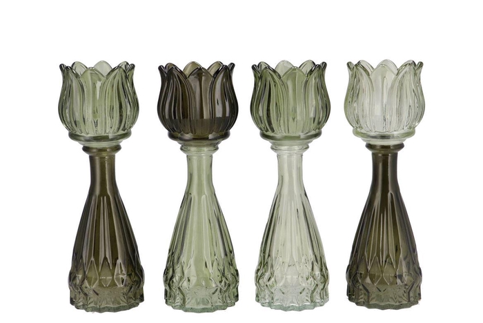 <h4>Bicolore Summer Green Mix Tulip Vase Ass 7x22cm</h4>