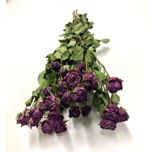 DROOG ROSES SPRAY DARK PINK