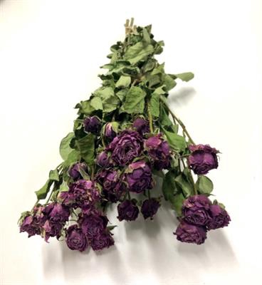 <h4>DROOG ROSES SPRAY DARK PINK</h4>