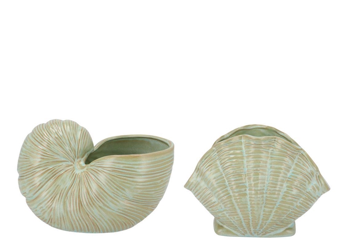 Dion Green Pot Snail Ass 19x14x13cm