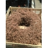 KRANS CONIFEER 55