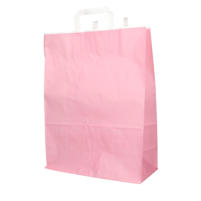 <h4>Bags Paper 32/15*43cm</h4>