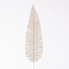 AF Fern Dried L71cm  Beige