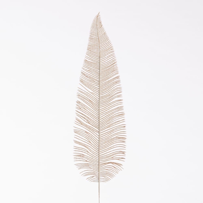 <h4>Af Fern Dried L71cm  Beige</h4>