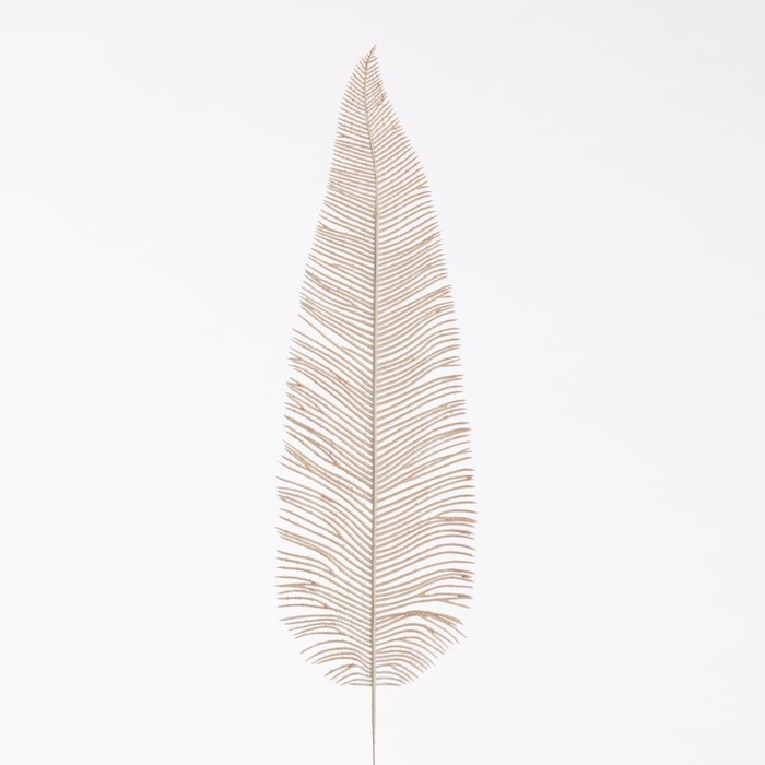 AF Fern Dried L71cm  Beige