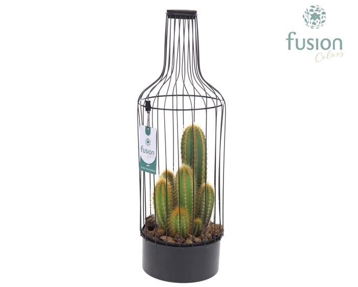 <h4>Metaal fles zwart Large met Cactussen</h4>