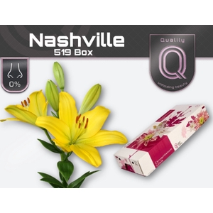 LI LA NASHVILLE 520 BOX 5+