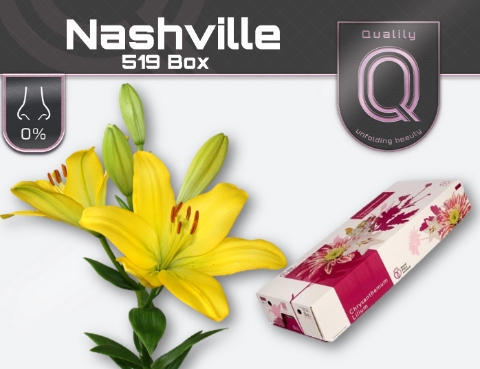 LI LA NASHVILLE 520 BOX 5+