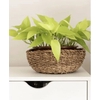 CST BACIA DUUK NATURAL D29 A11 IMP